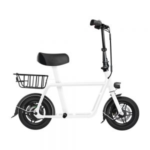 Fiido Q1 Electric Scooter